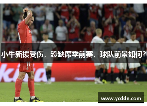 小牛新援受伤，恐缺席季前赛，球队前景如何？